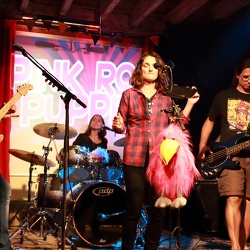 Pink Rock Puppets